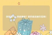 深圳落户,到底要啥?我的血泪通关指南!