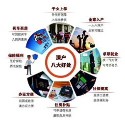 深度解析：2026年深圳入户政策前瞻：门槛、赛道与未来的博弈