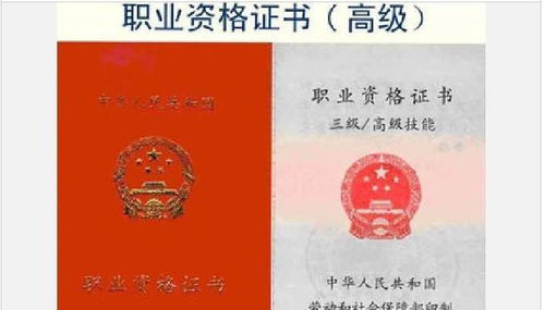 深圳户口，一张通往未来的“黄金门票”？它的价值，远超你想象！