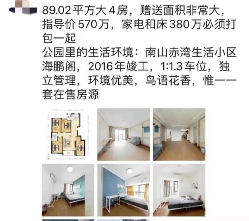 入户深圳超全攻略！2026最新版，这篇从入门到落户的保姆级指南就够了！