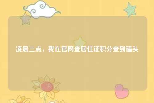 凌晨三点,我在官网查居住证积分查到磕头